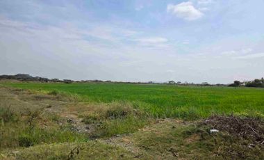 Vendo Terreno Esquinero , Nuevo Samborondon,  El Buijo