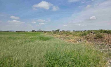 Vendo Terreno Esquinero , Nuevo Samborondon,  El Buijo