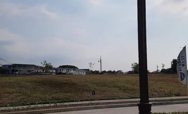 Residential Lot For Sale at Alabang West, Daang Hari, Las Piñas City