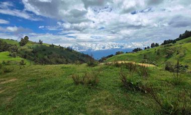 VENDO LOTE EN PANTANILLO EL TAMBO