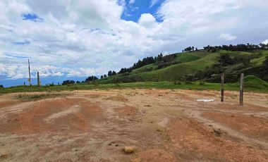 VENDO LOTE EN PANTANILLO EL TAMBO