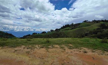 VENDO LOTE EN PANTANILLO EL TAMBO