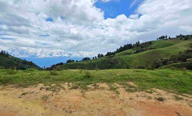 VENDO LOTE EN PANTANILLO EL TAMBO
