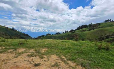 VENDO LOTE EN PANTANILLO EL TAMBO