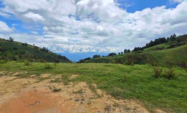 VENDO LOTE EN PANTANILLO EL TAMBO