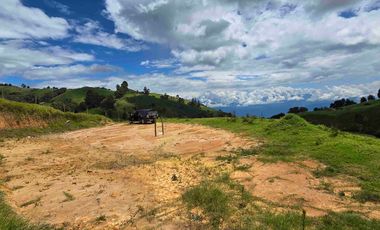 VENDO LOTE EN PANTANILLO EL TAMBO