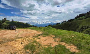 VENDO LOTE EN PANTANILLO EL TAMBO