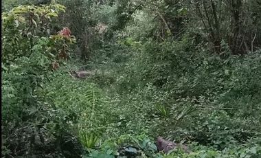 Dijual Cepat Tanah Labuan Bajo BU