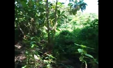 Dijual Cepat Tanah Labuan Bajo BU