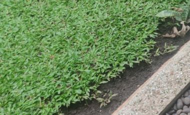 rumah murah banget hitung tanah di pusat kota