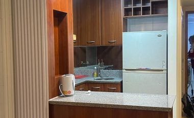 Departamento Amoblado  1 Dormitorio / Metro Manquehue