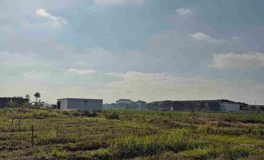 Tanah Kavling Dekat PT Jia Wei Di Desa Padakaton Ketanggungan Brebes