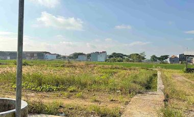 Tanah Kavling Dekat PT Jia Wei Di Desa Padakaton Ketanggungan Brebes