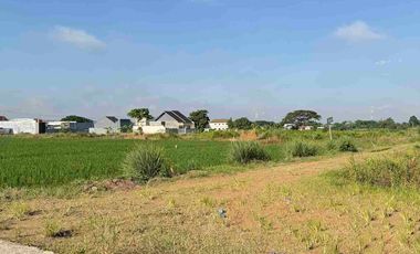 Tanah Kavling Dekat PT Jia Wei Di Desa Padakaton Ketanggungan Brebes