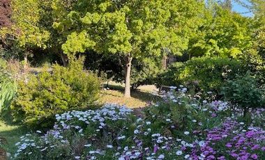 CÓMODA CASA CON PARQUE CRECIDO, SEGURO CONDOMINIO PAINE