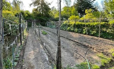 CÓMODA CASA CON PARQUE CRECIDO, SEGURO CONDOMINIO PAINE