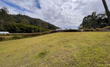 vendo lote en llanogrande , rionegro cerca a jardines de llanogrande y aeropuerto