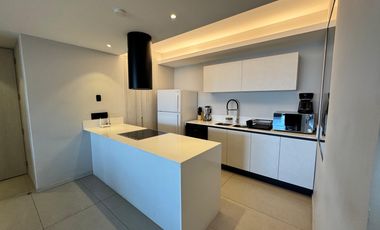 Depto Amueblado en Distrito Chapultepec