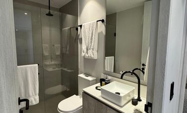 Depto Amueblado en Distrito Chapultepec