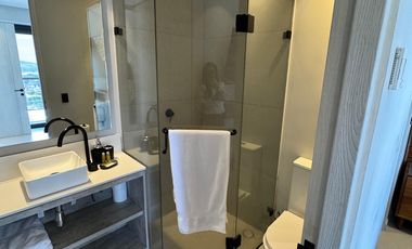 Depto Amueblado en Distrito Chapultepec