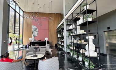 Depto Amueblado en Distrito Chapultepec