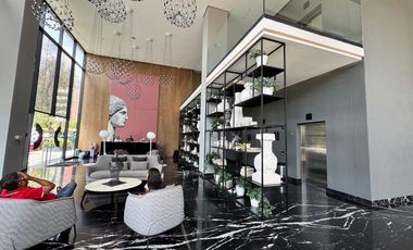 Depto Amueblado en Distrito Chapultepec