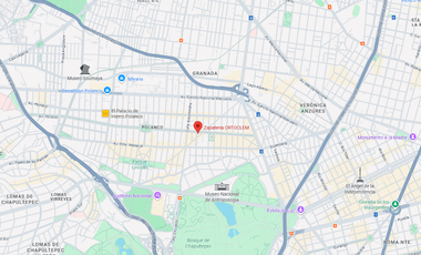 Lujoso Departamento en Zona Exclusiva de La Ciudad de Mexico, Polanco