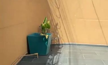 CONDOMINIO LA ARBOLEDA 100% SEGURIDAD FRENTE AL IMSS HOSPITAL 1