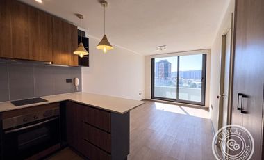 Arriendo Departamento 1 Dormitorio Plaza Condell Concepción