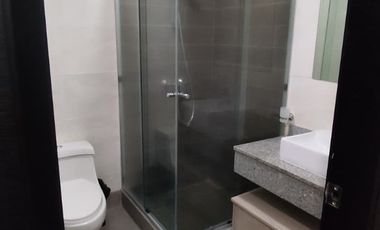 Arriendo departamento de 2 dormitorios amoblado