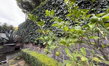 Venta Casa con Departamento rodeada de jardín