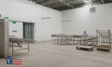 PLANTA AGROINDUSTRIAL CHINCHA BAJA PANAMERICANA SUR KM 205