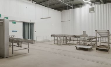 PLANTA AGROINDUSTRIAL CHINCHA BAJA PANAMERICANA SUR KM 205