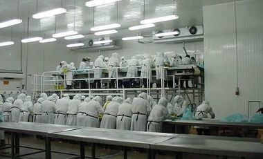 PLANTA AGROINDUSTRIAL CHINCHA BAJA PANAMERICANA SUR KM 205