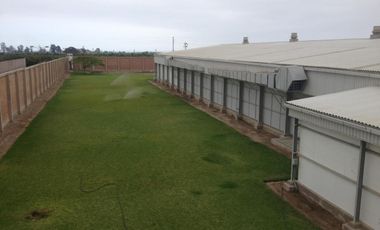 PLANTA AGROINDUSTRIAL CHINCHA BAJA PANAMERICANA SUR KM 205