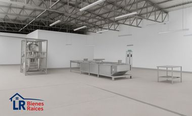 PLANTA AGROINDUSTRIAL CHINCHA BAJA PANAMERICANA SUR KM 205