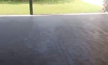 CASA CON TERRAZA EN VENTA EN EL FRACCIONAMIENTO EL ROBLE EN EL ARENAL JALISCO