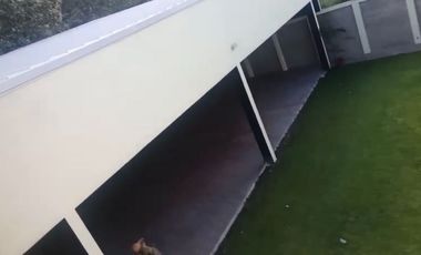 CASA CON TERRAZA EN VENTA EN EL FRACCIONAMIENTO EL ROBLE EN EL ARENAL JALISCO