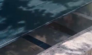 CASA CON TERRAZA EN VENTA EN EL FRACCIONAMIENTO EL ROBLE EN EL ARENAL JALISCO