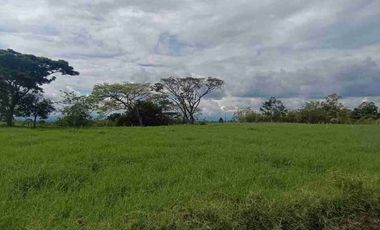 finca ganadera eje cafetero