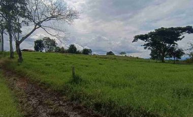 finca ganadera eje cafetero