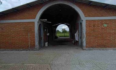 finca ganadera eje cafetero