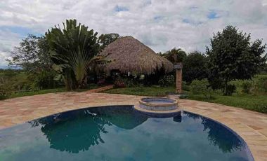 finca ganadera eje cafetero