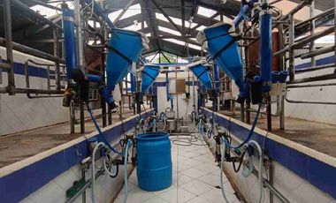 finca ganadera eje cafetero