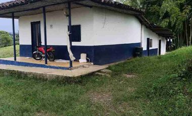 finca ganadera eje cafetero