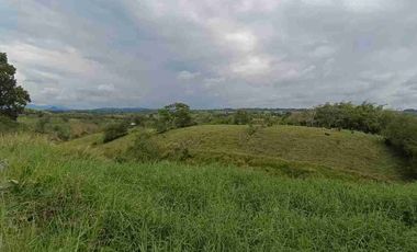 finca ganadera eje cafetero