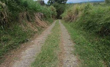 finca ganadera eje cafetero