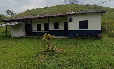 finca ganadera eje cafetero