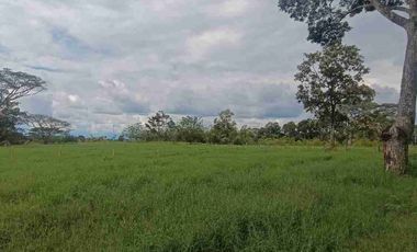 finca ganadera eje cafetero