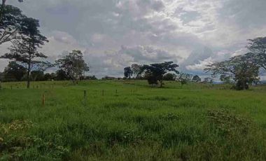 finca ganadera eje cafetero